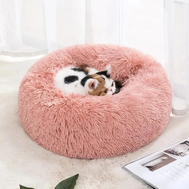 Pet Bed